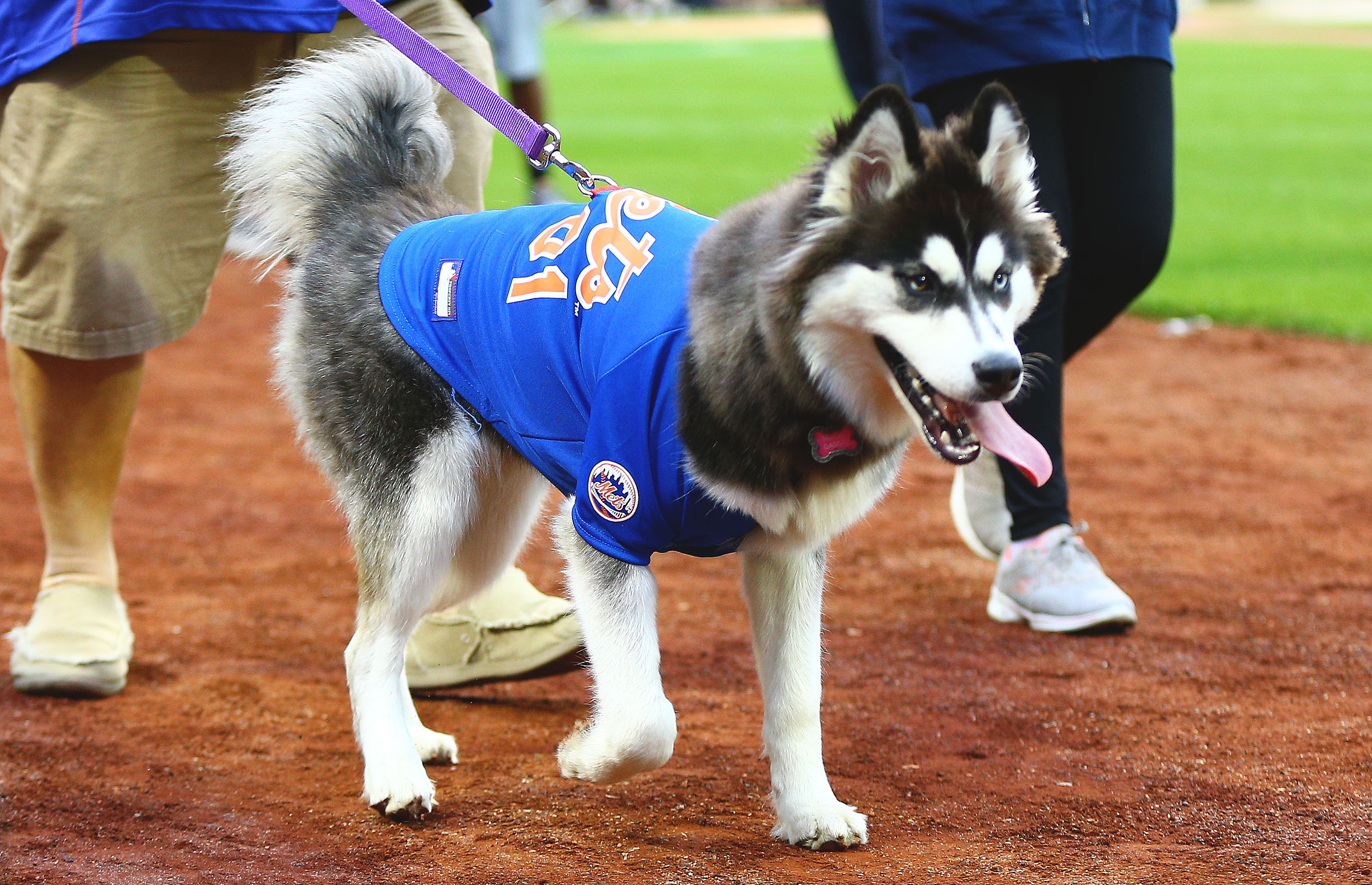 MLB: Colorado Rockies at New York Mets