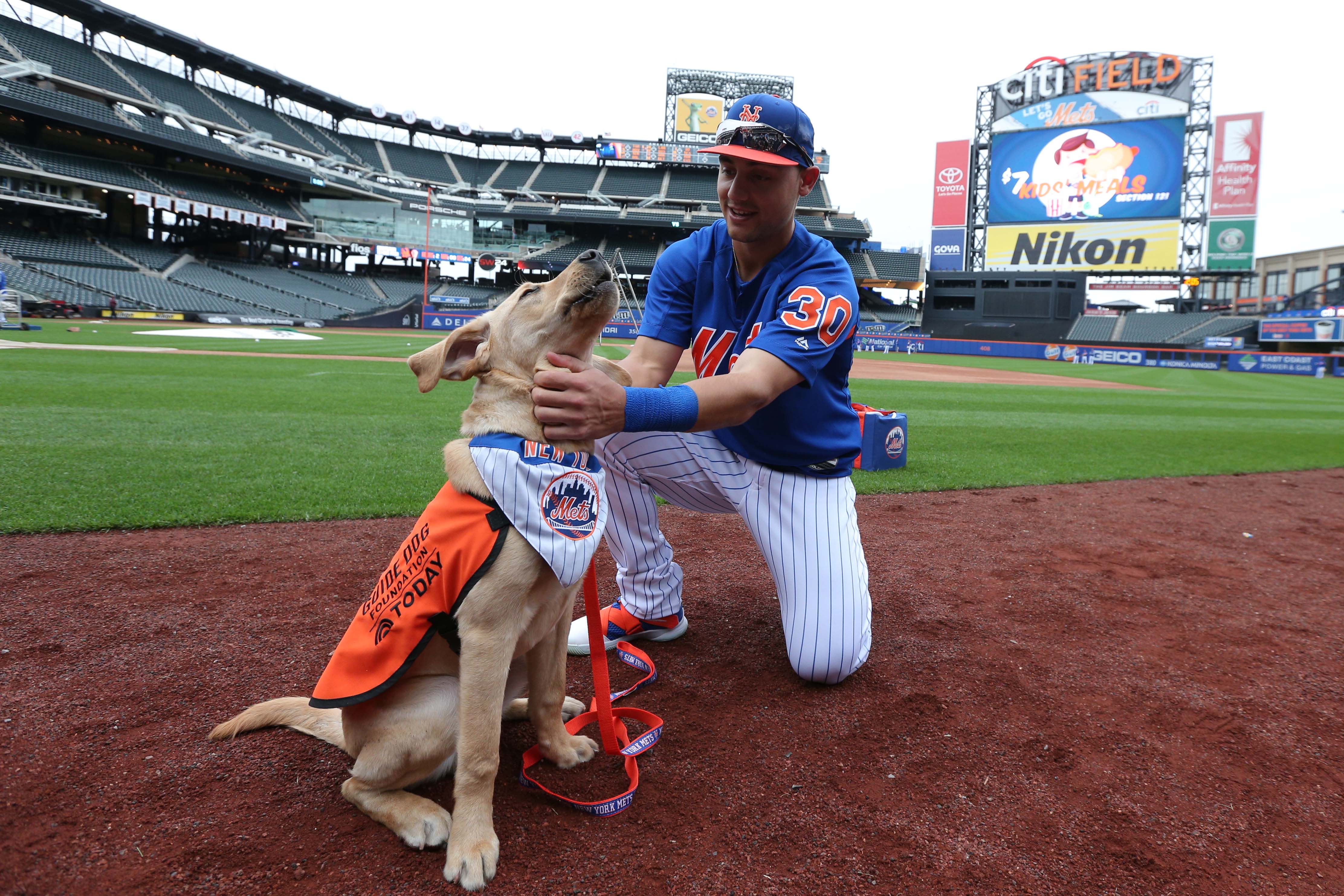 New York Mets - Bark at the Park is BACK for three games